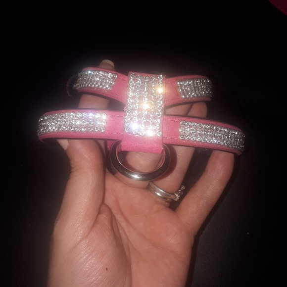 Cat/dog halter/leash - Picture 2 of 13